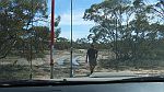 06-Shane returns from checking out the boggy Big Desert track